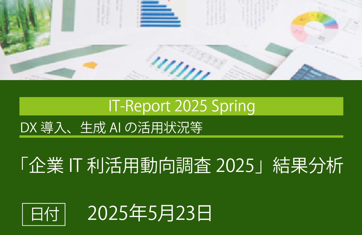IT-Report 2025 Spring　「企業IT利活用動向調査2025」 結果分析 （DX導入、生成AIの活用状況等）の画像